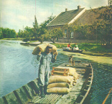Meelvaarder H.v.nierop 1960 001